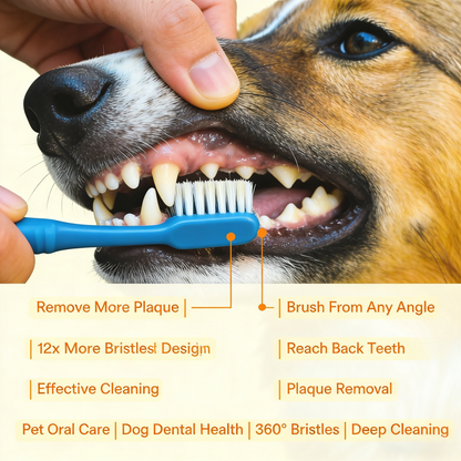 360° Silicone Pet Finger Toothbrush with Storage Case – Blue