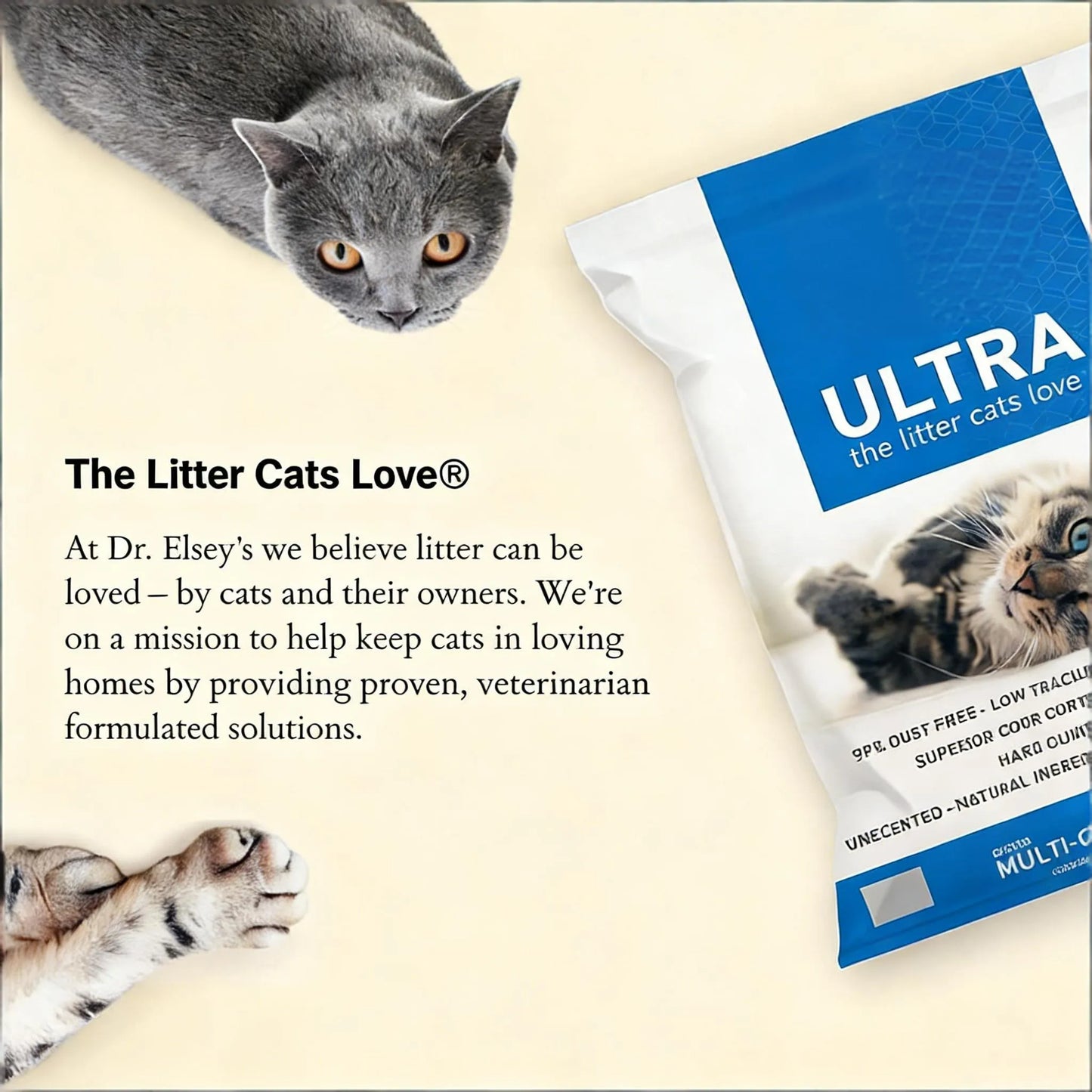 Unscented Clumping Clay Litter, 18lb Bag